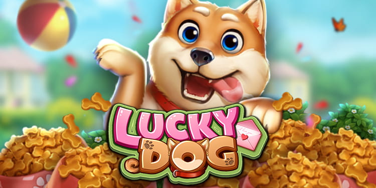 Lucky Dog